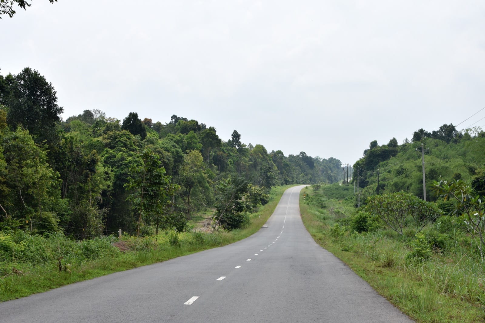 DT761 đi qua rừng Trị An