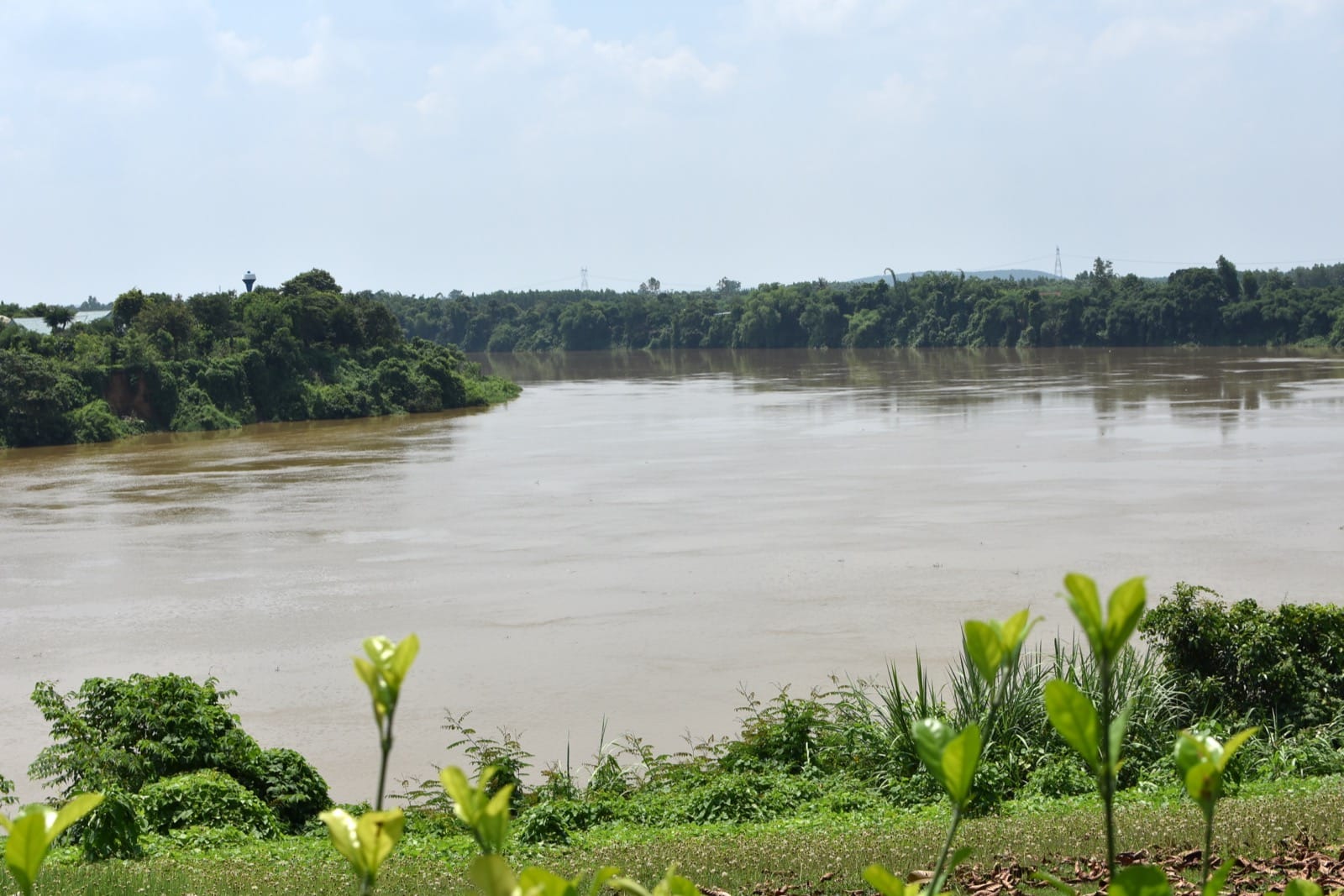 Sông Đồng Nai